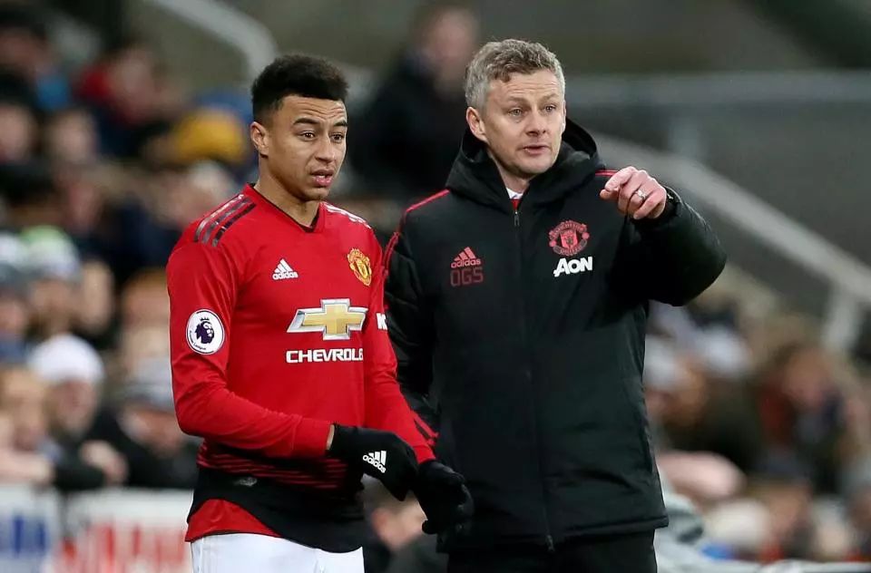 能够有效提 能够有效提